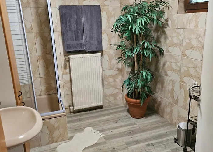 Lägenhet Ferienapartment Waldhaus *